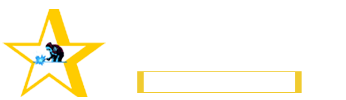 GOLDEN STAR ENGINEERING